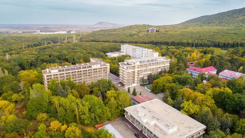 ЛЕСНАЯ ПОЛЯНА