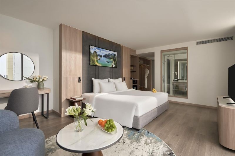studio suite
