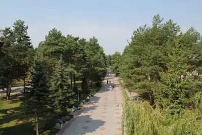 БРЕСТАГРОЗДРАВНИЦА (БЫВШ. БЕРЕСТЬЕ)