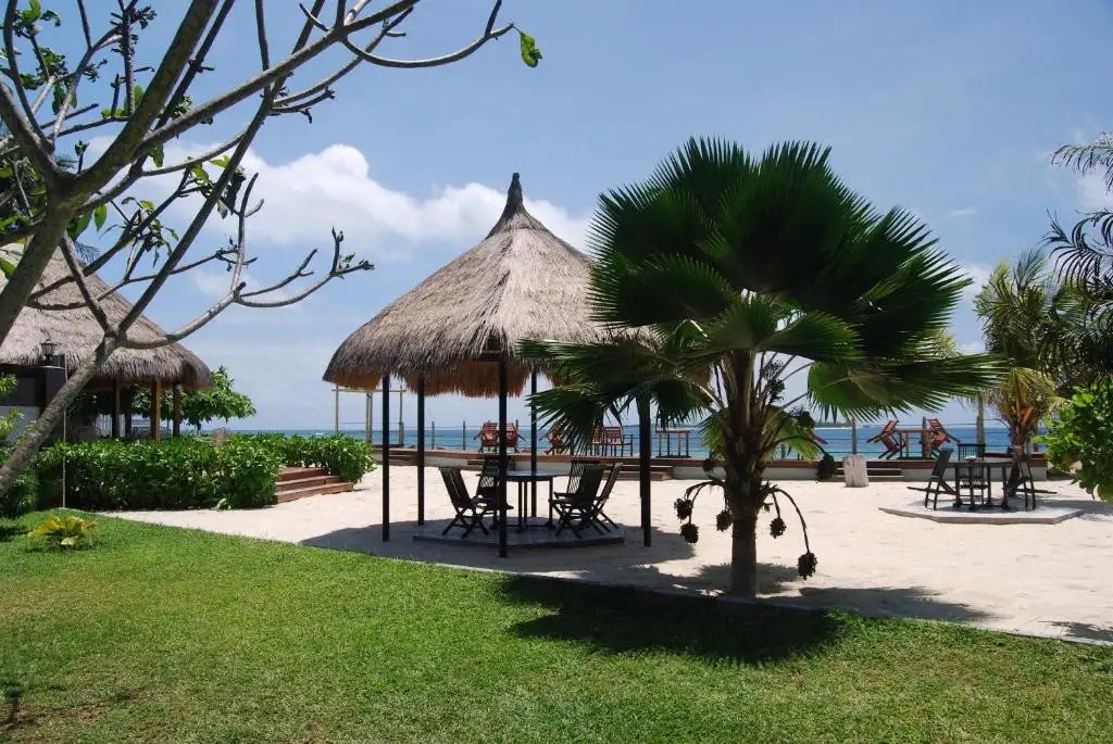 THE ISLANDER