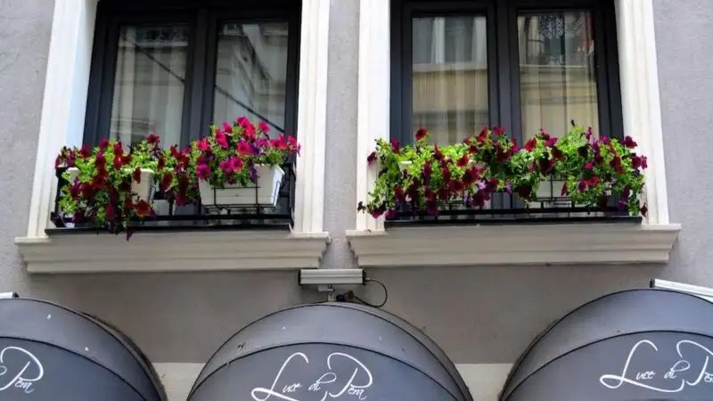 LUCE DI PERA HOTEL