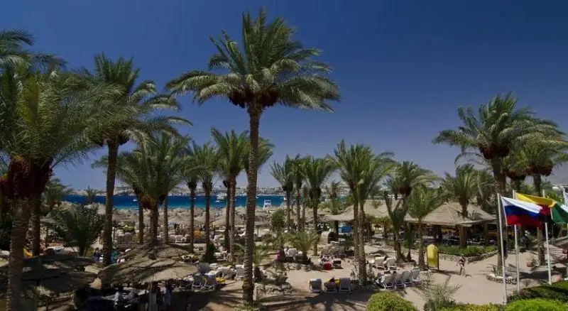 OONAS DIVE CLUB