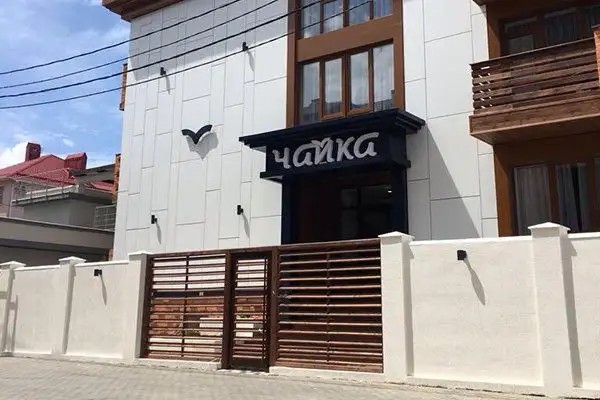 ЧАЙКА МЫС ТОЛСТЫЙ