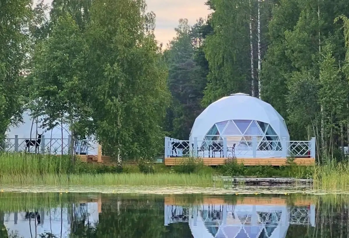 ХВОЯ КАРЕЛИЯ