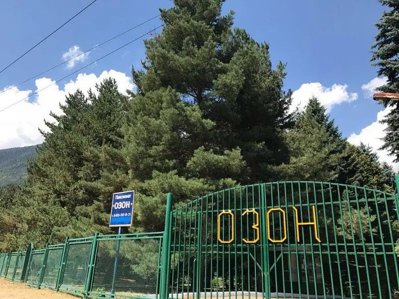 ОЗОН