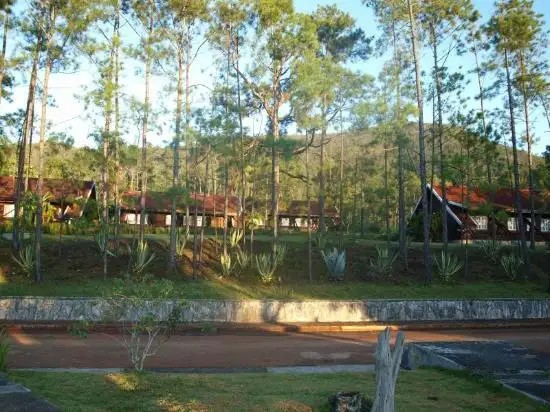 PINARES DE MAYARI