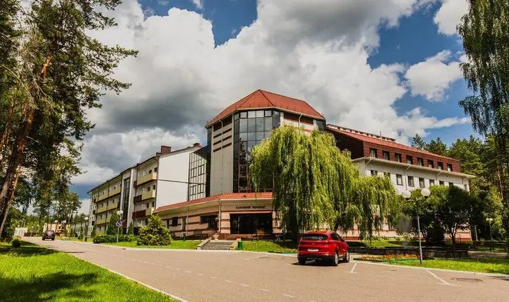 БОРОВОЕ