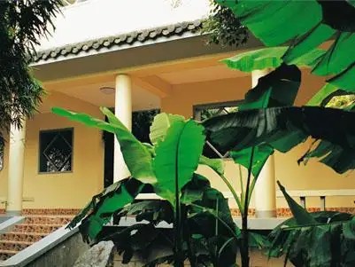 NEW GARDEN