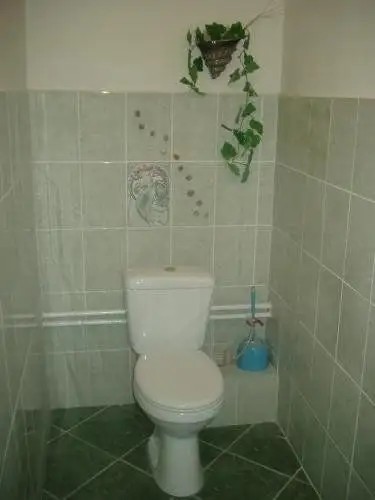 БАЙКАЛЬСКИЙ ЛУЧИК