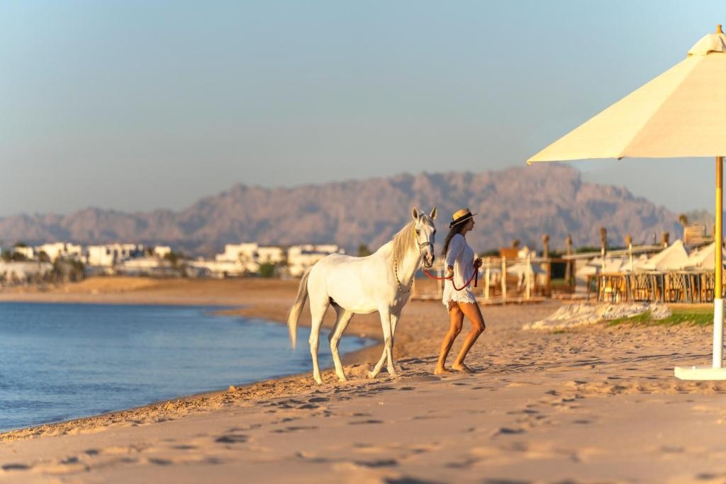 RIXOS PREMIUM MAGAWISH BAY VIEW