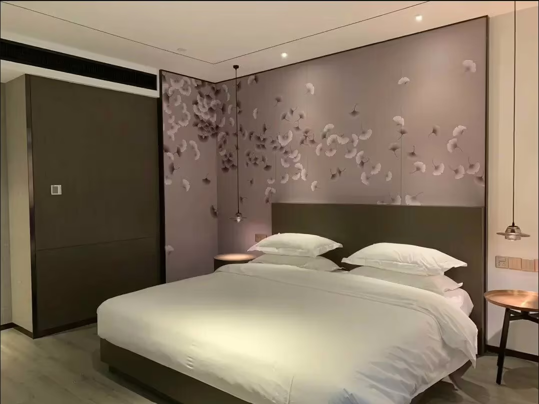 DA ZHONG AIRPORT HOTEL SHANGHAI