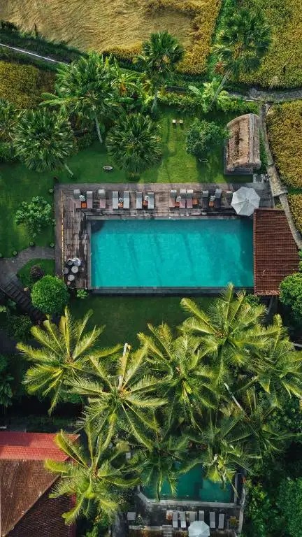 THE ARTINI RESORT