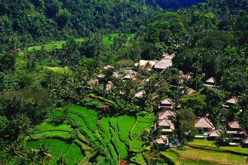 AMANDARI