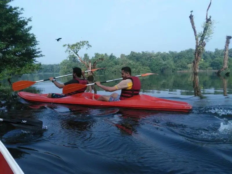 HORNBILL CAMP
