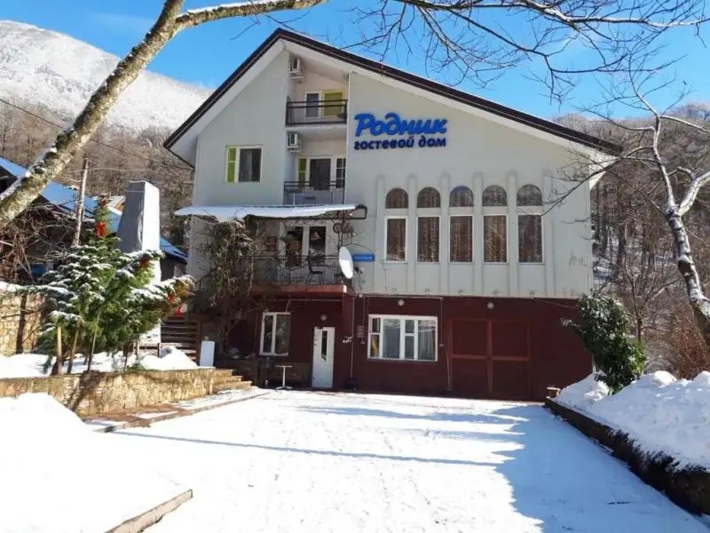 РОДНИК
