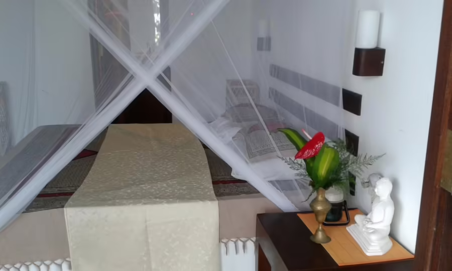 LUMI HOUSE