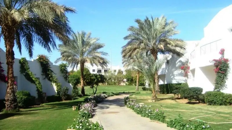 LUNA SHARM