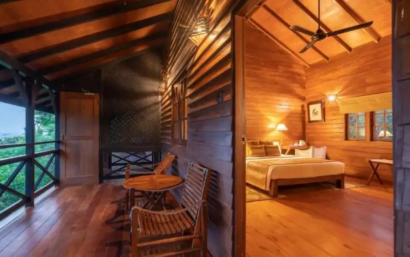 CINNAMON WILD YALA