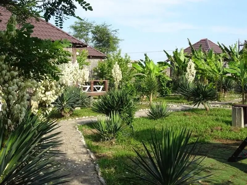 БАМБОРА