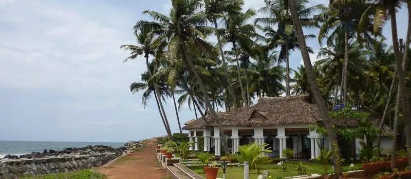 PALM TREE BUNGALOW