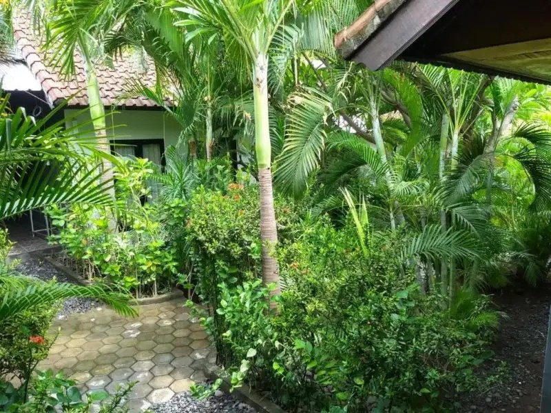 SCUBA TRIBE BALI
