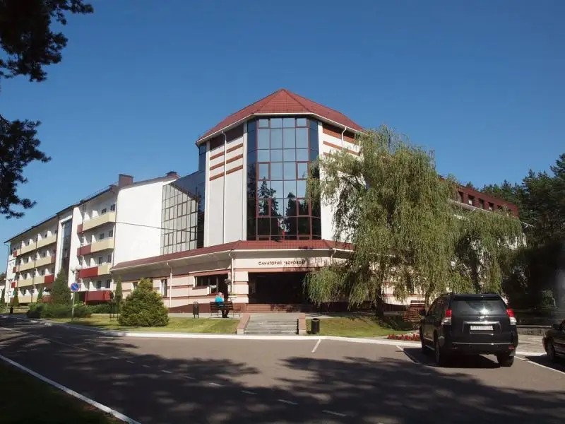 БОРОВОЕ