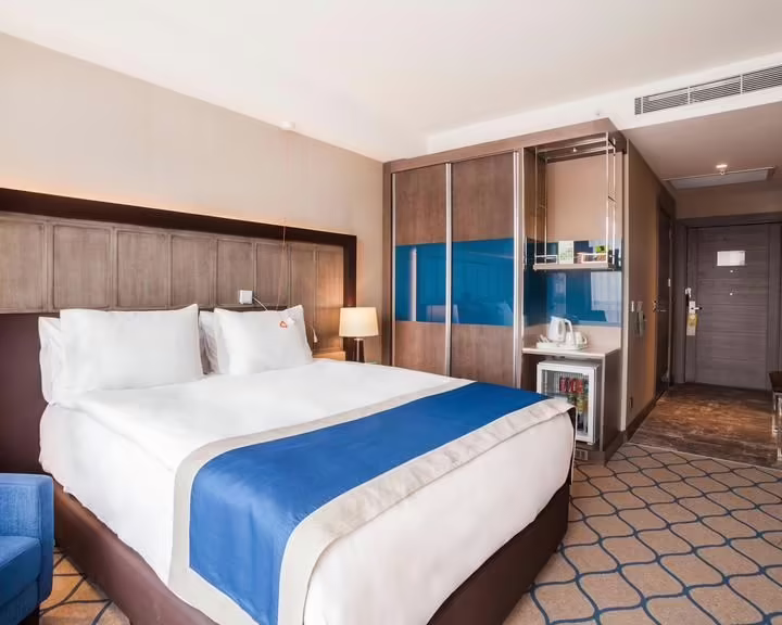 HOLIDAY INN KAYSERI DUVENONU