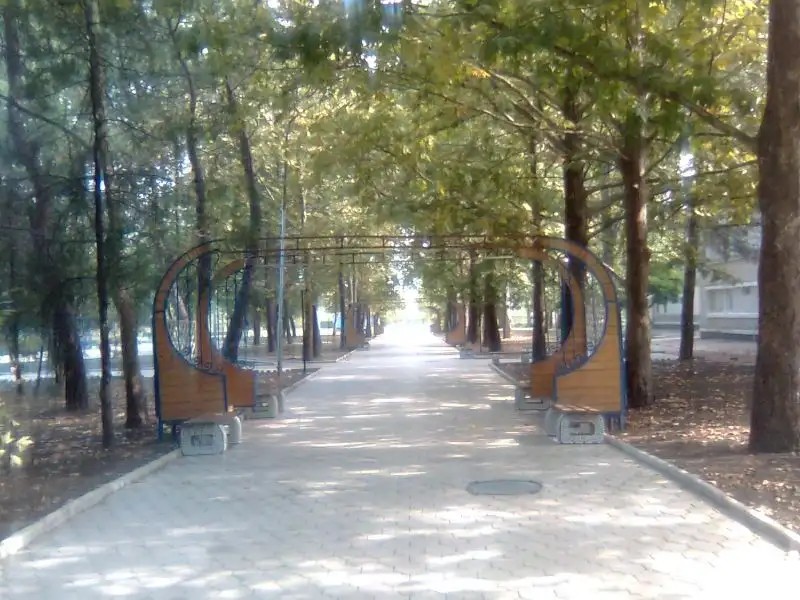 ПОЛЯРНЫЕ ЗОРИ