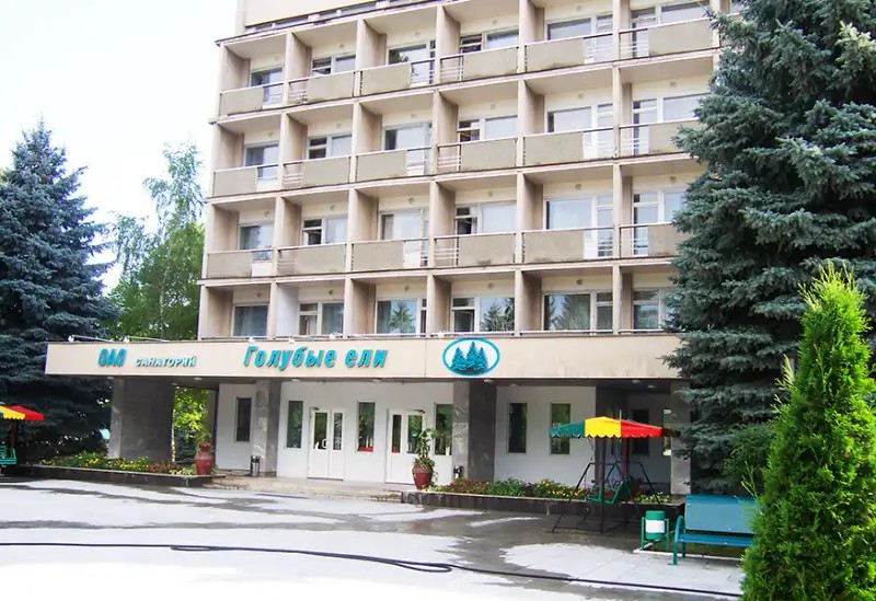 ГОЛУБЫЕ ЕЛИ