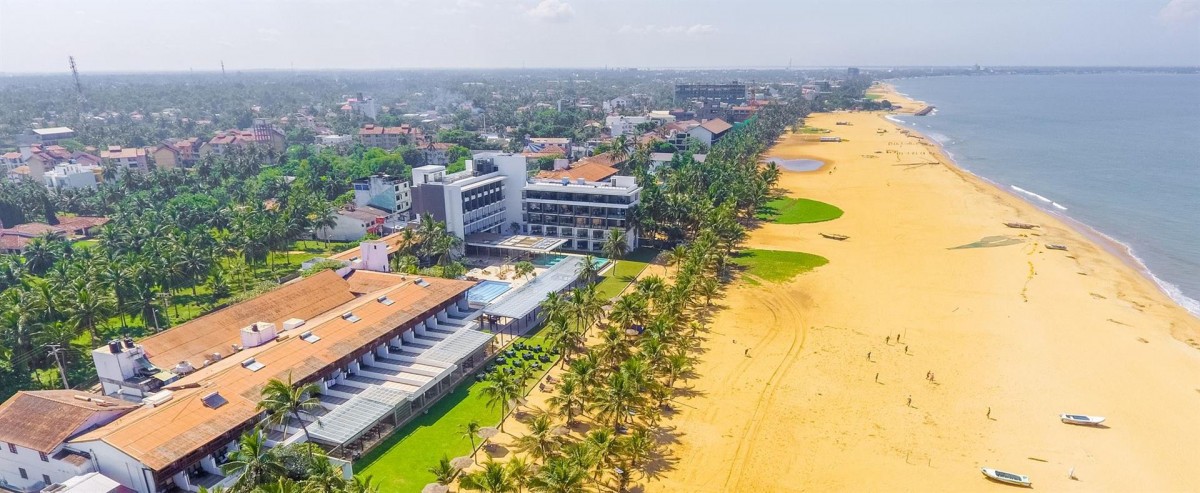 GOLDI SANDS