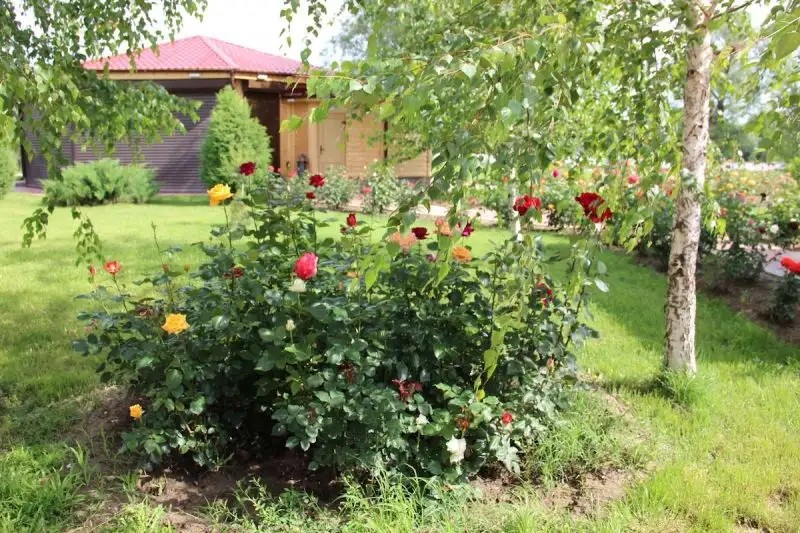 ТУРИСТИЧЕСКИЙ КОМПЛЕКС ЗЮЙД ВЕСТ