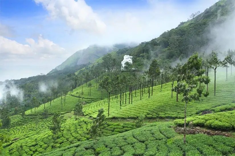 MISTY MOUNTAIN RESORT