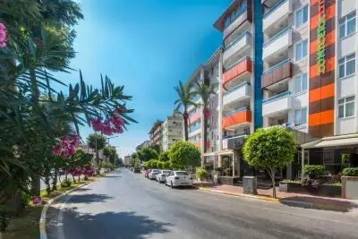 LONICERA CITY KLEOPATRA