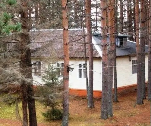 ЛЕСНАЯ СКАЗКА
