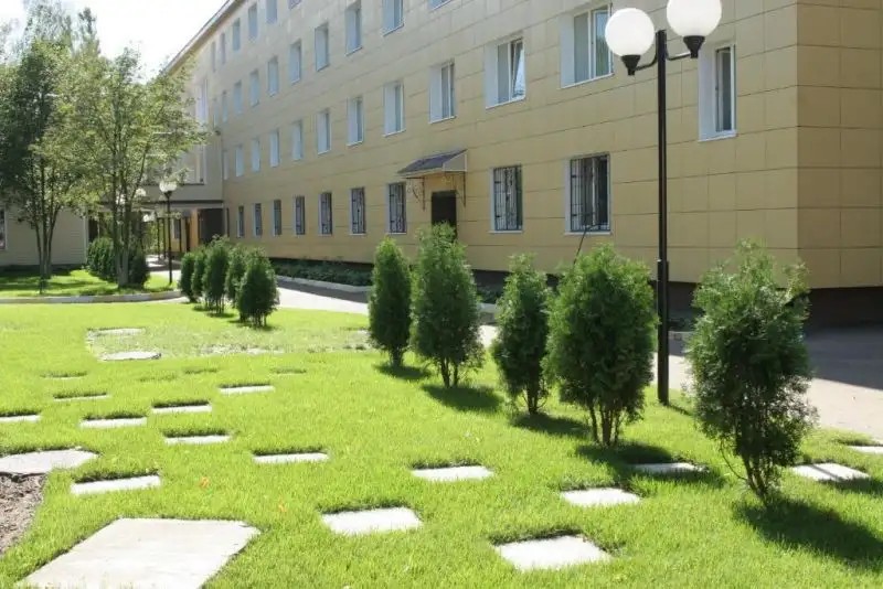 СОСНЫ РАМЕНСКОЕ