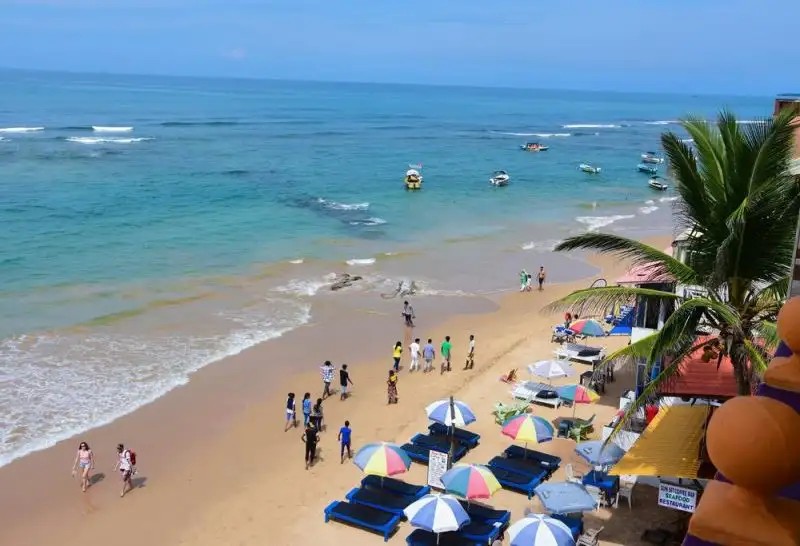 DOLPHIN & BEACH RESTAURANT