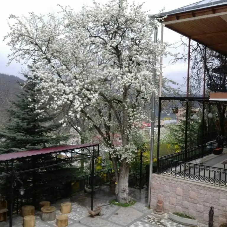 CASANOVA INN