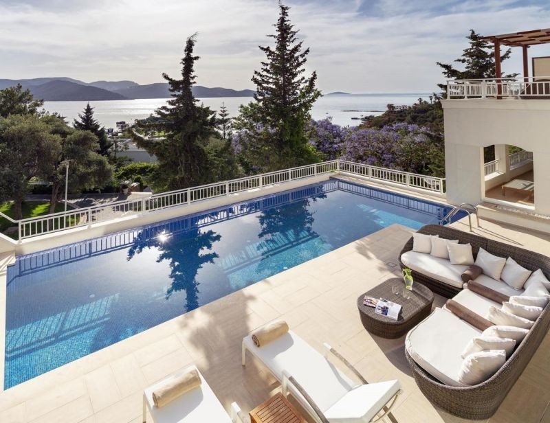 superior villa