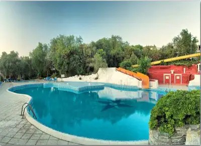ONURA TATIL KOYU