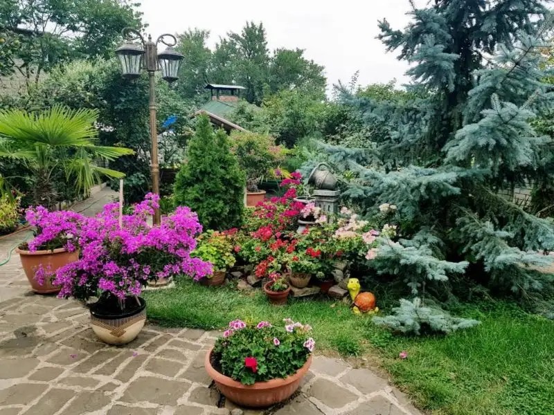 ГОСТЕВОЙ ДОМ КРЫМ