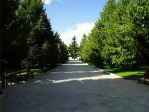 МУРАС (ВИТЯЗЬ)