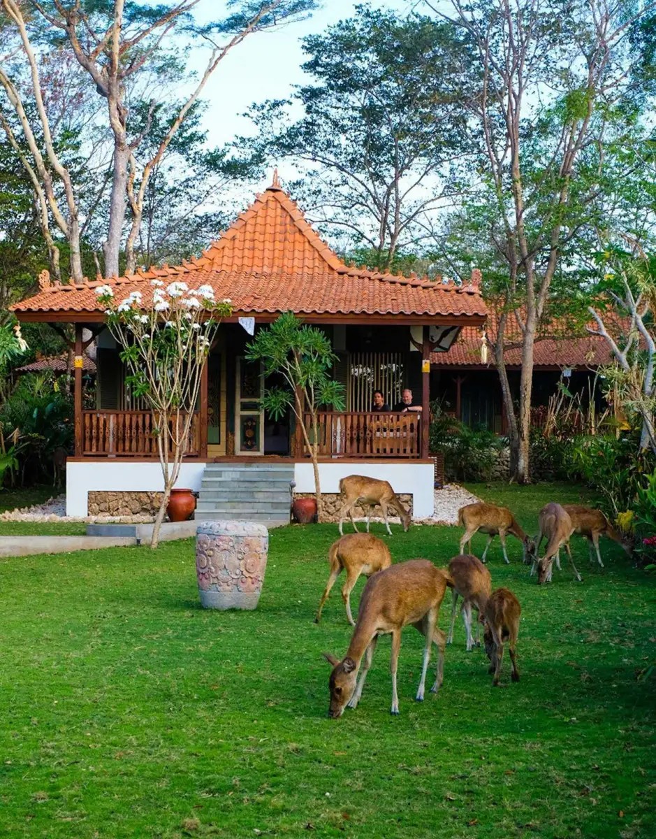 PLATARAN MENJANGAN RESORT & SPA
