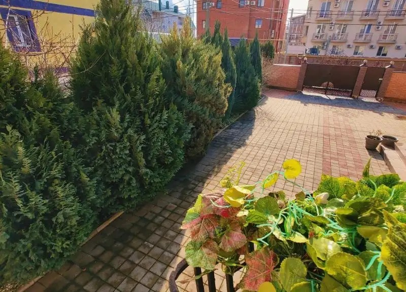ПАРФЕНА