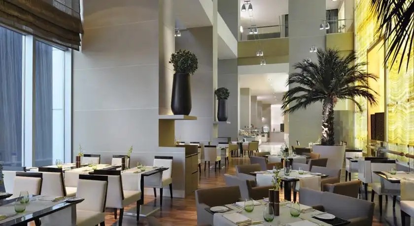 THE ADDRESS DUBAI MALL RESIDENCES