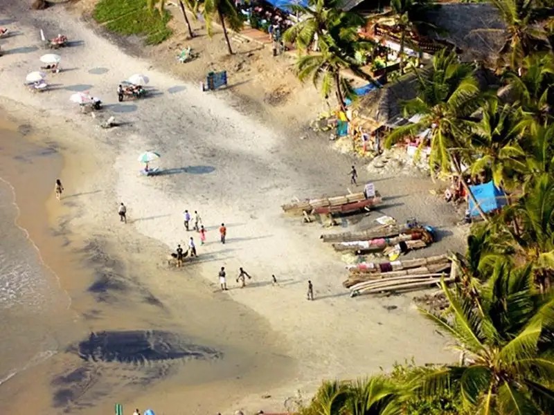 THE OCEAN PARK BEACH RESORT