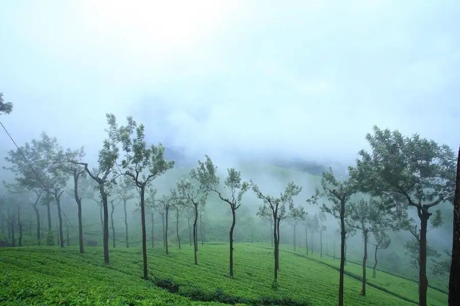 MISTY MOUNTAIN RESORT