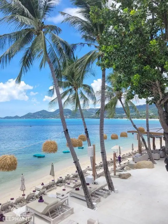 ELEPHANT BEACH CLUB RESORT