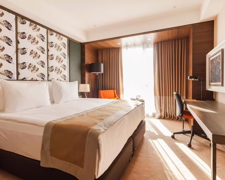 HOLIDAY INN KAYSERI DUVENONU