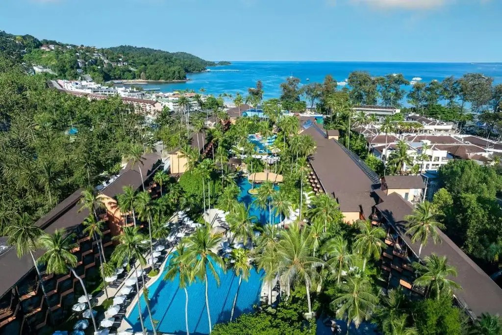PATONG MERLIN