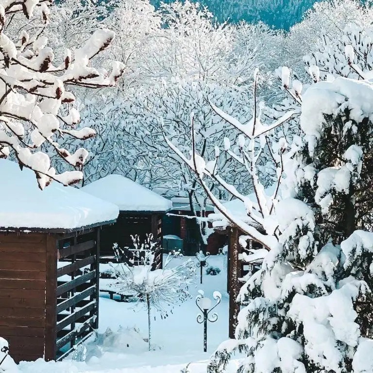 VOLKOV HOUSE
